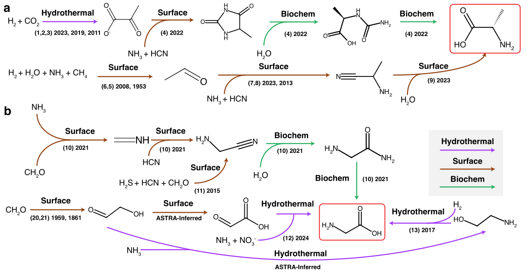 Literature-grounded networks (alanine, glycine)
