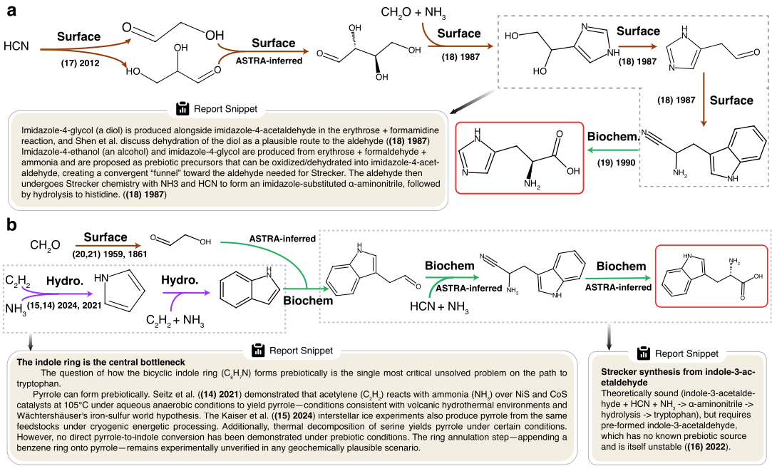 Hypothesis networks (histidine, tryptophan)