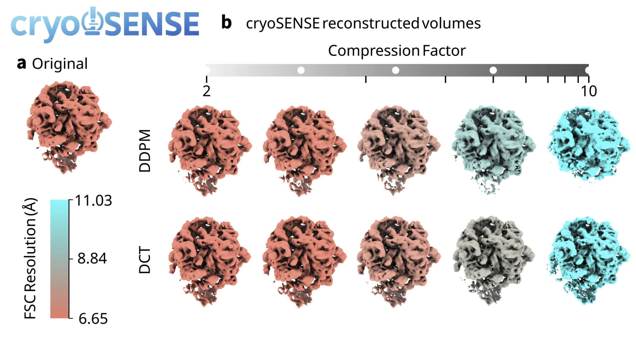 cryoSENSE reconstruction